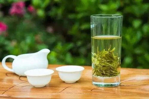 中国茶叶营销年 2020中国日照茶产业标准与品牌发展峰会在日照市举行